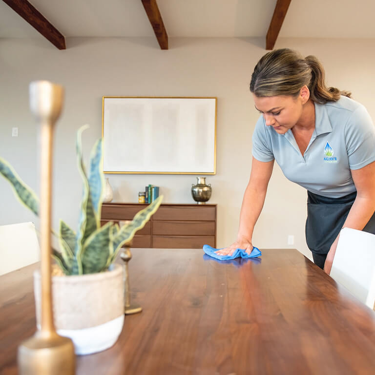 cleaner-wiping-table